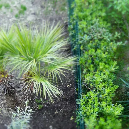 Daire Puccini A Lido Adriano *